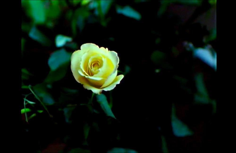 Histoire(s) du cinéma, Jean-Luc Godard